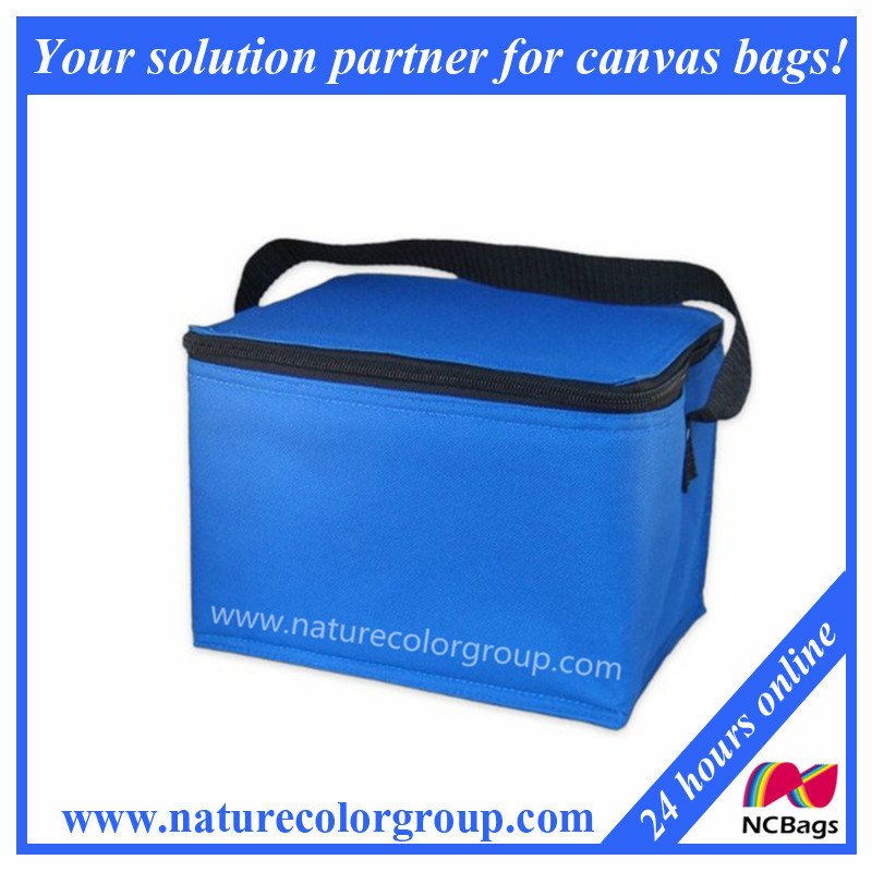 Easy Lunch Boxes Insulated Cooler Bag, Blue