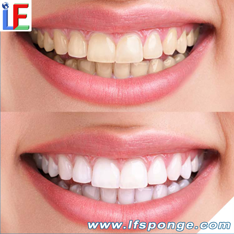 Kit de limpieza de dientes para oficina LF205