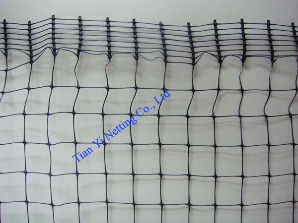 strength net