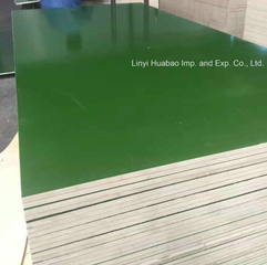 PVC Green Film Faced Plywood for Shuttering
