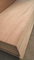 black container flooring plywood