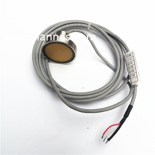 Transductor ultrasónico piezoeléctrico ADCP personalizado de 1 MHz