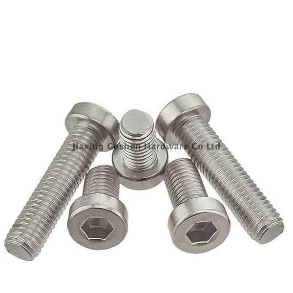 Tornillos de cabeza hexagonal métrica de acero inoxidable m10
