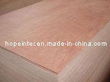 Bintangor Plywood / Commercial Plywood (HL006)