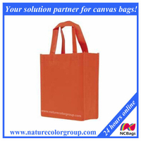 Environmental Friendly Promotional Gift Bag