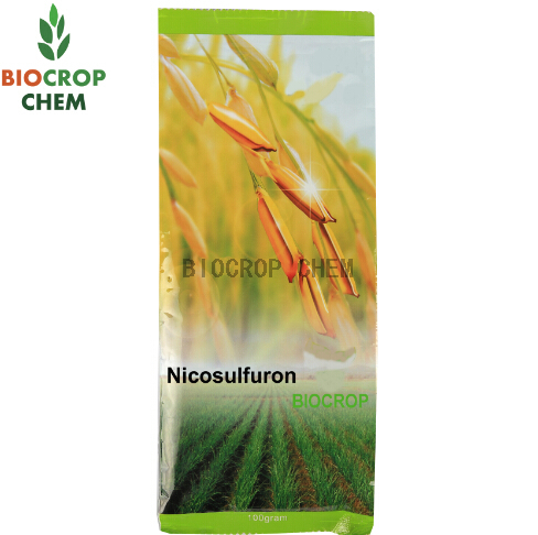 Nicosulfuron (111991-09-4) herbicide
