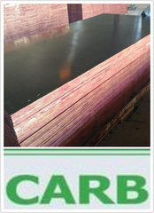 Finger Joint Plywood for Shuttering Poplar Core First Grade (HBR016)