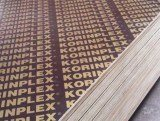 18mm Film Faced Plywood Shandong Manufacture/Construction Plywood