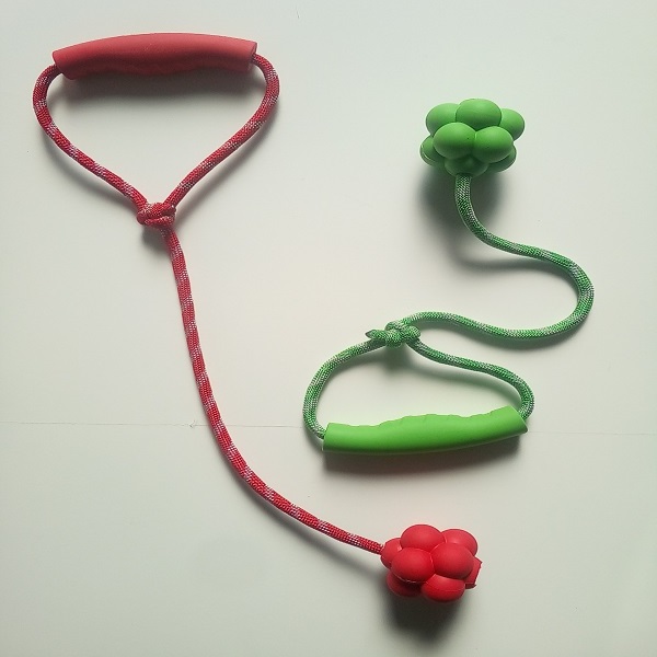 Pet Dog Toy with Play Ball