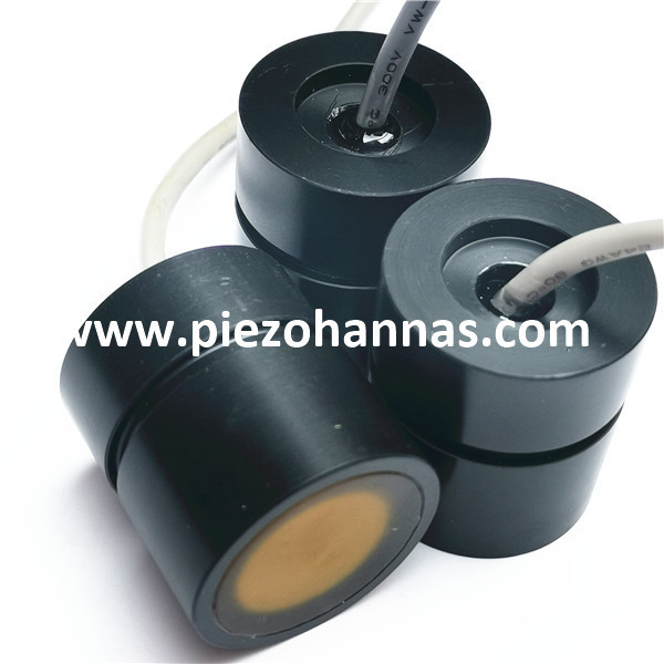 Carcasa de aleación de titanio Insertado Tipo Transductor ultrasónico para caudalímetro ultrasónico