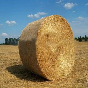 The Role of Hay Net in Environmental Protection