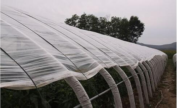 The Different Effects of Waterproof Shade Net at Different Times