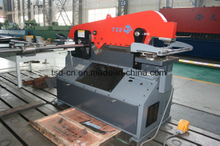 Máquina de hierro para trabajadores (Q34Y-110)