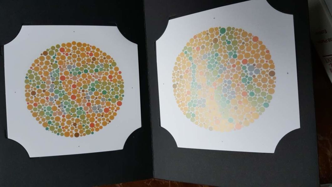 Ishihara Color Test Book