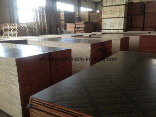 Shuttering Plywood Poplar Core WBP Glue for Construction Usages