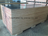 Birch Core Plywood 20*610*2500mm to Israle Port