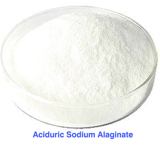 Sodium acidurique Alaginate