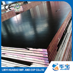 Shuttering Plywood