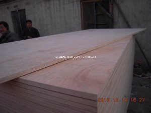 Okoume Plywood Poplar Core WBP Glue BB/CC Grade