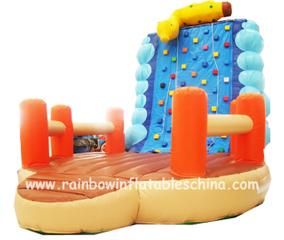 RB13016(5x5x5m) Inflatable Climbing Wall Game/ Inflatable Climbing Wall Bouncer