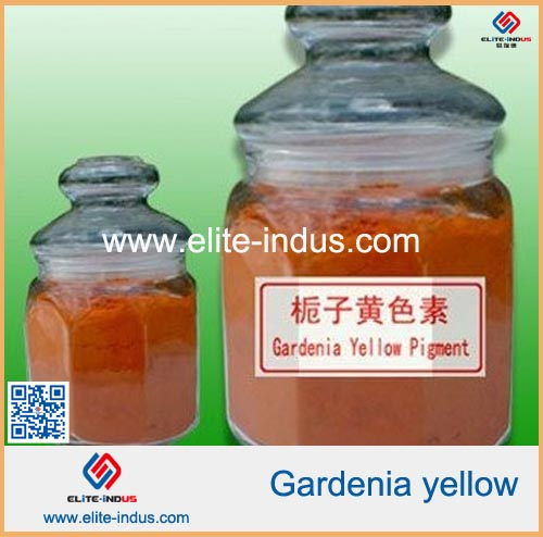 Gardenia Yellow