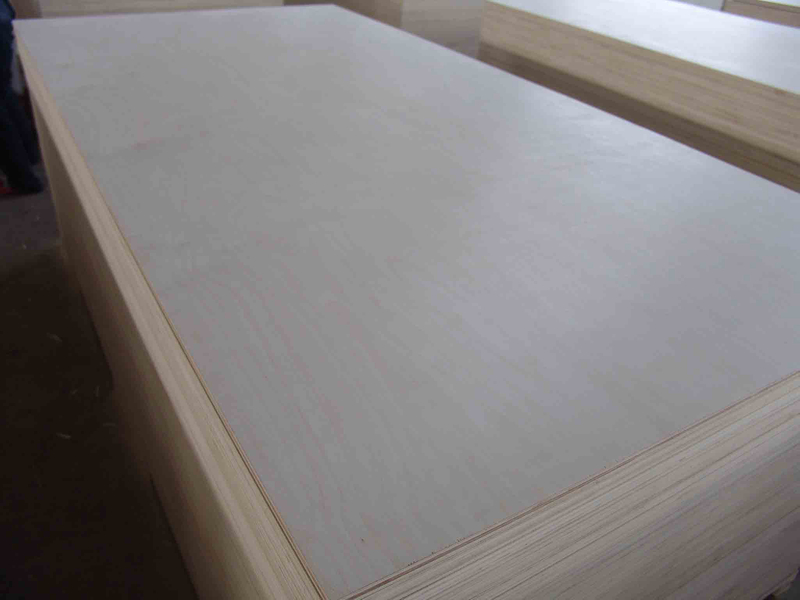 birch plywood