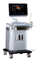 B-Ultrasound Scanner Machine (Model HY6000PRONEW)