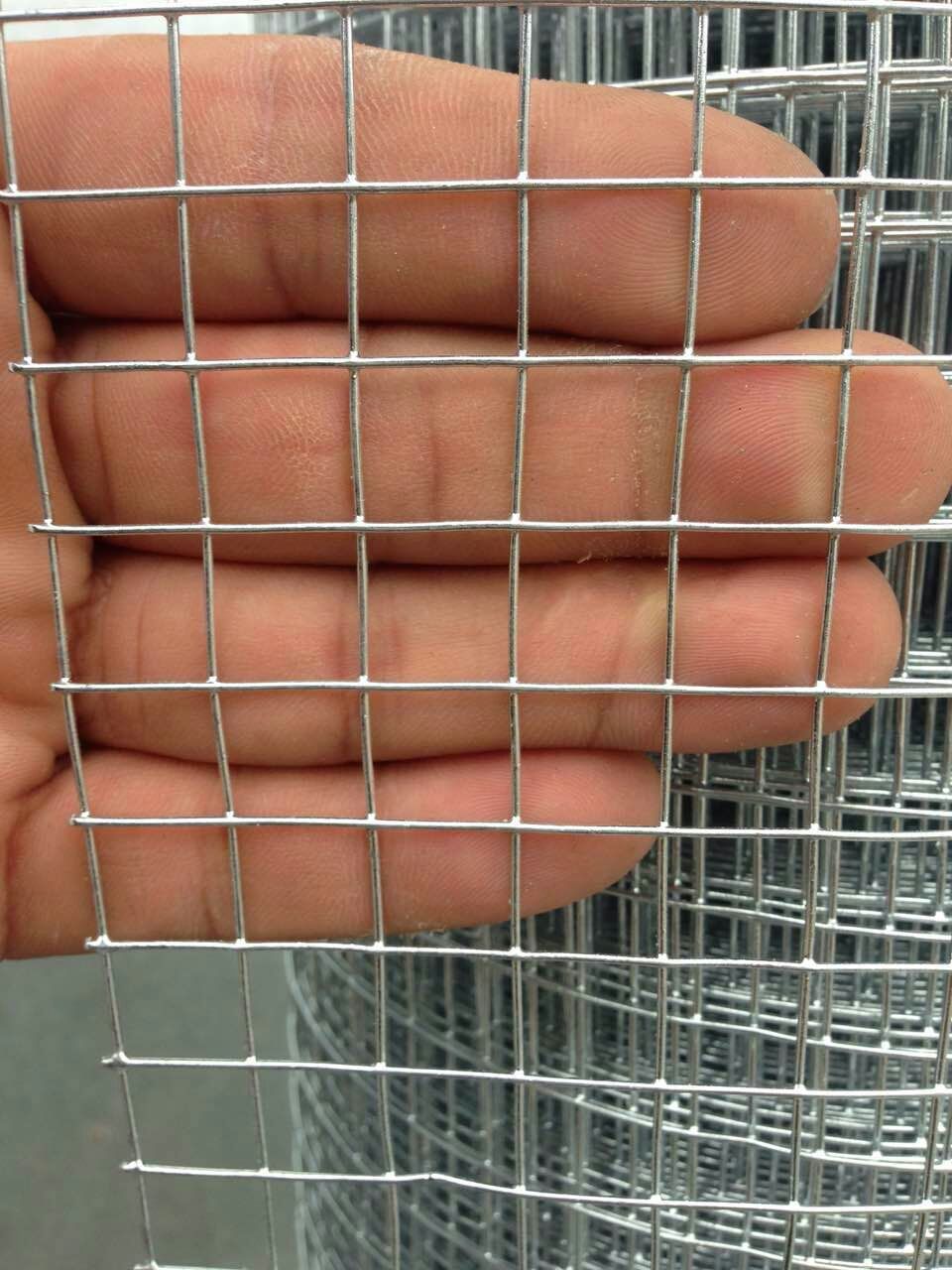 1/4 inch hot dipped galvanized welded wire mesh with cheap price