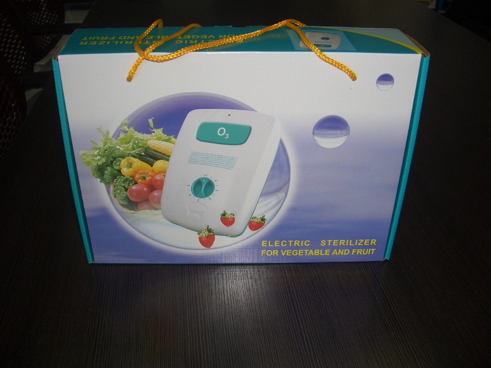 Home & kitchen used 500mg/h ozone generator for fruit and vegetables---BL-2000(O3)