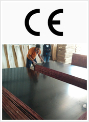 Brown Film Faced Plywood with CE Certificate