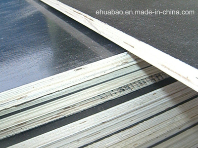 18mm Plywood/Marine Plywood /Shuttering Plywood for Constructions