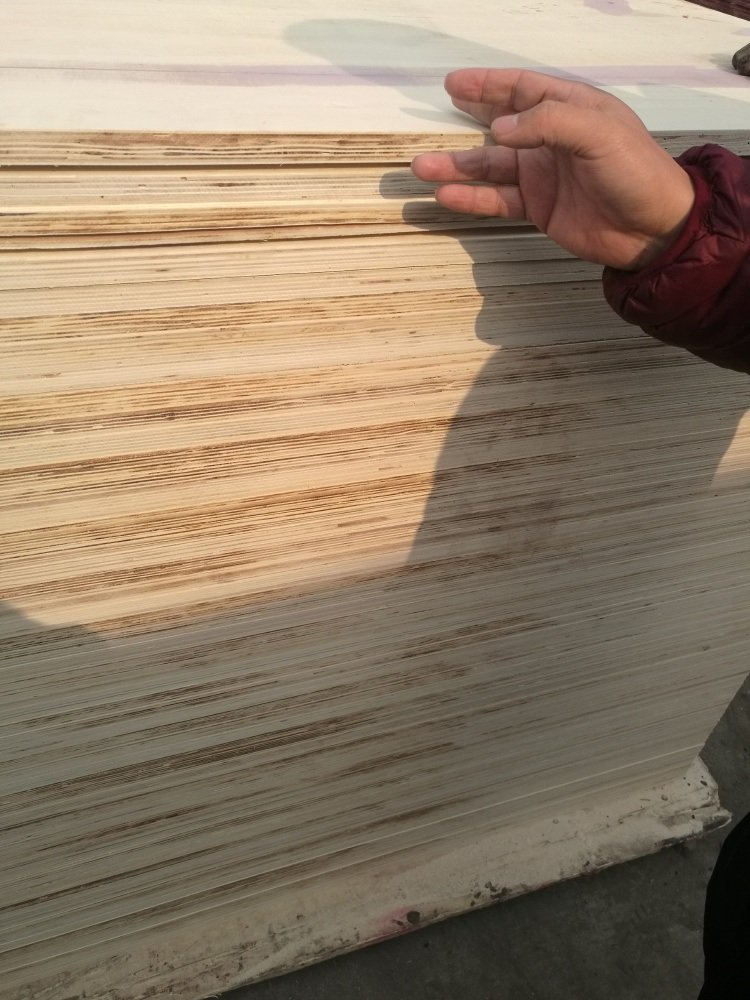 Marine Plex Film Faced Plywood for Constructions