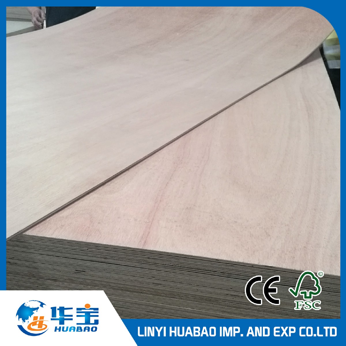 12mm Ordinary Commercial Plywood 8X4 Sheet Poplar Core (HBC002)