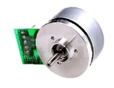 Outer Rotor Brushless DC Motor 60mm