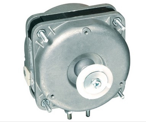 Motor de polo sombreado