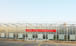 Ventilation fans, for meeting room