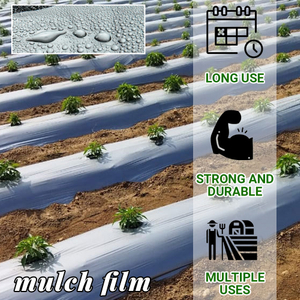 Película de plástico en negro y plateado Mulch Agricultural Plastic Mulch Film