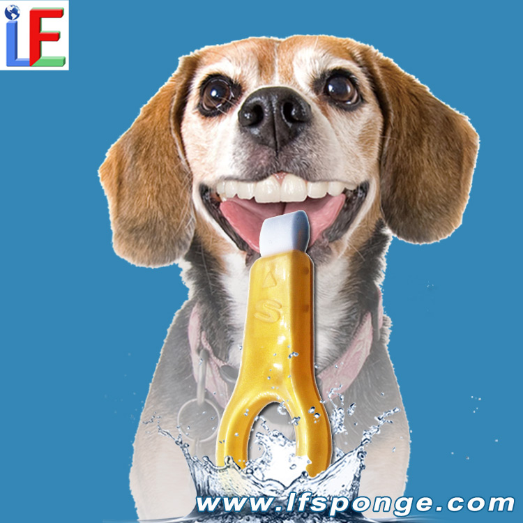 Kit de soins dentaires avancés pour animaux de compagnie OEM