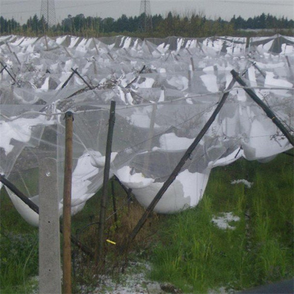 Sistema de construcción Anti Hail Net