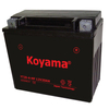 YT20-4-MF Sealed Maintenance Free Battery 12V SMF Powersport Motorcycles Scooters ATVs