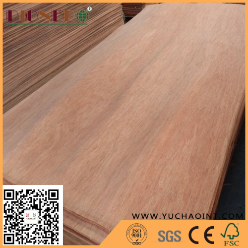 Natural Plb Veneers 
