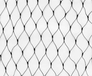 ¿Cuál es la ventaja de las redes de aves?