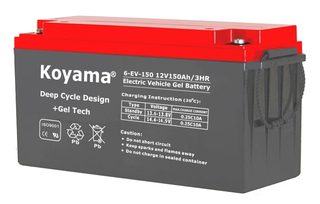 Electric Vehicle Battery 