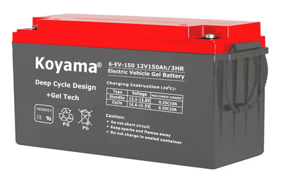 Electric Vehicle Battery 