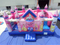RB3059（ 6x5m ） Inflatables popular Pink PrincesBouncy Combo