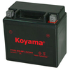 YTX5L-BS Sealed Maintenance Free Battery 12V SMF Powersport Motorcycles Scooters ATVs