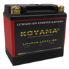 12.8V 2ah Motorcycle LiFePO4/Lithium/LFP Battery for Motorcycle LFP5L-BS