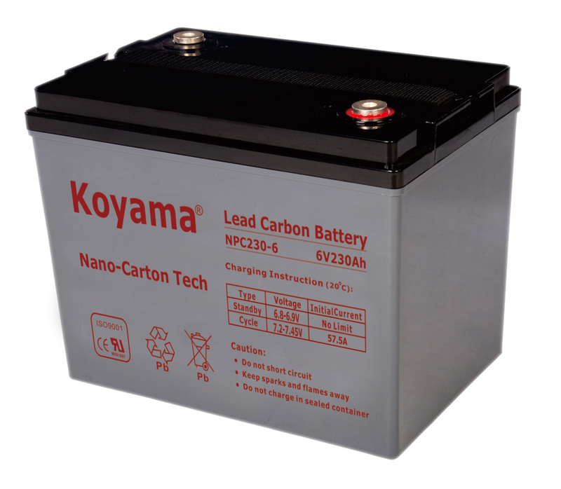 6V 230AH High Quality Deep Cycle Lead Carbon Battery NPC230-6