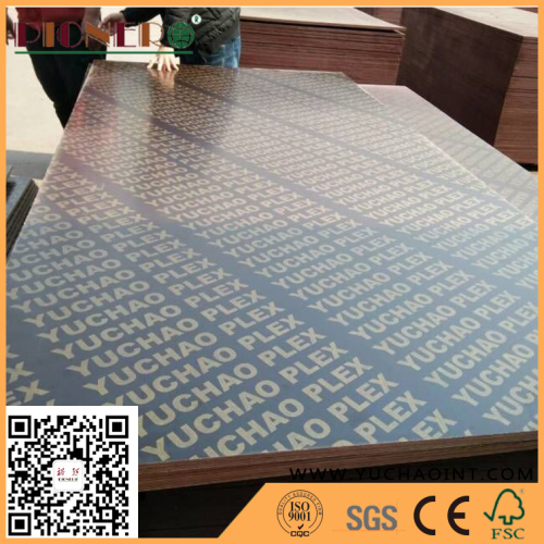 Film Faced Plywood with Two Times Pressed for Construction