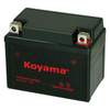 YTZ5S-MF Sealed Maintenance Free Battery 12V SMF Powersport Motorcycles Scooters ATVs